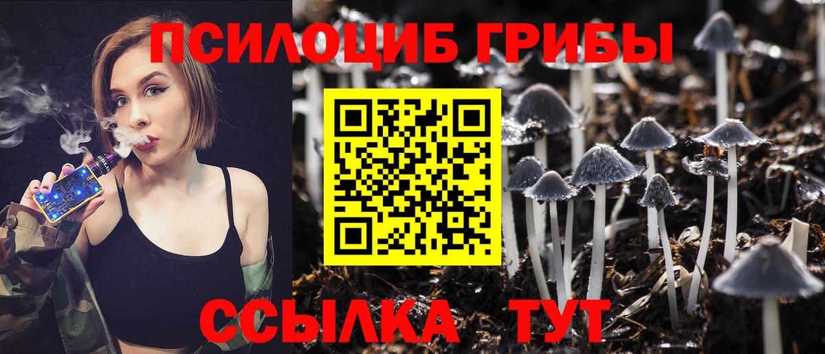Псилоцибиновые грибы прущие грибы Десногорск