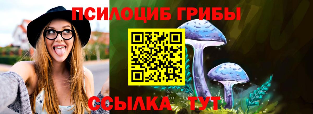 Галлюциногенные грибы MAGIC MUSHROOMS  где купить наркоту  Десногорск  Вход с VPN 